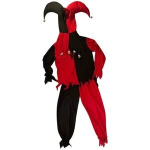 California Costumes Evil Jester Costume - Boys Size Large